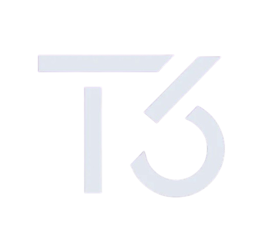 t3_icon